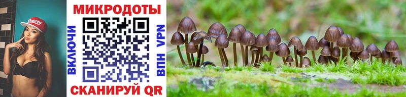 ссылка на мегу ONION  наркотики  Кирово-Чепецк  Псилоцибиновые грибы Magic Shrooms 
